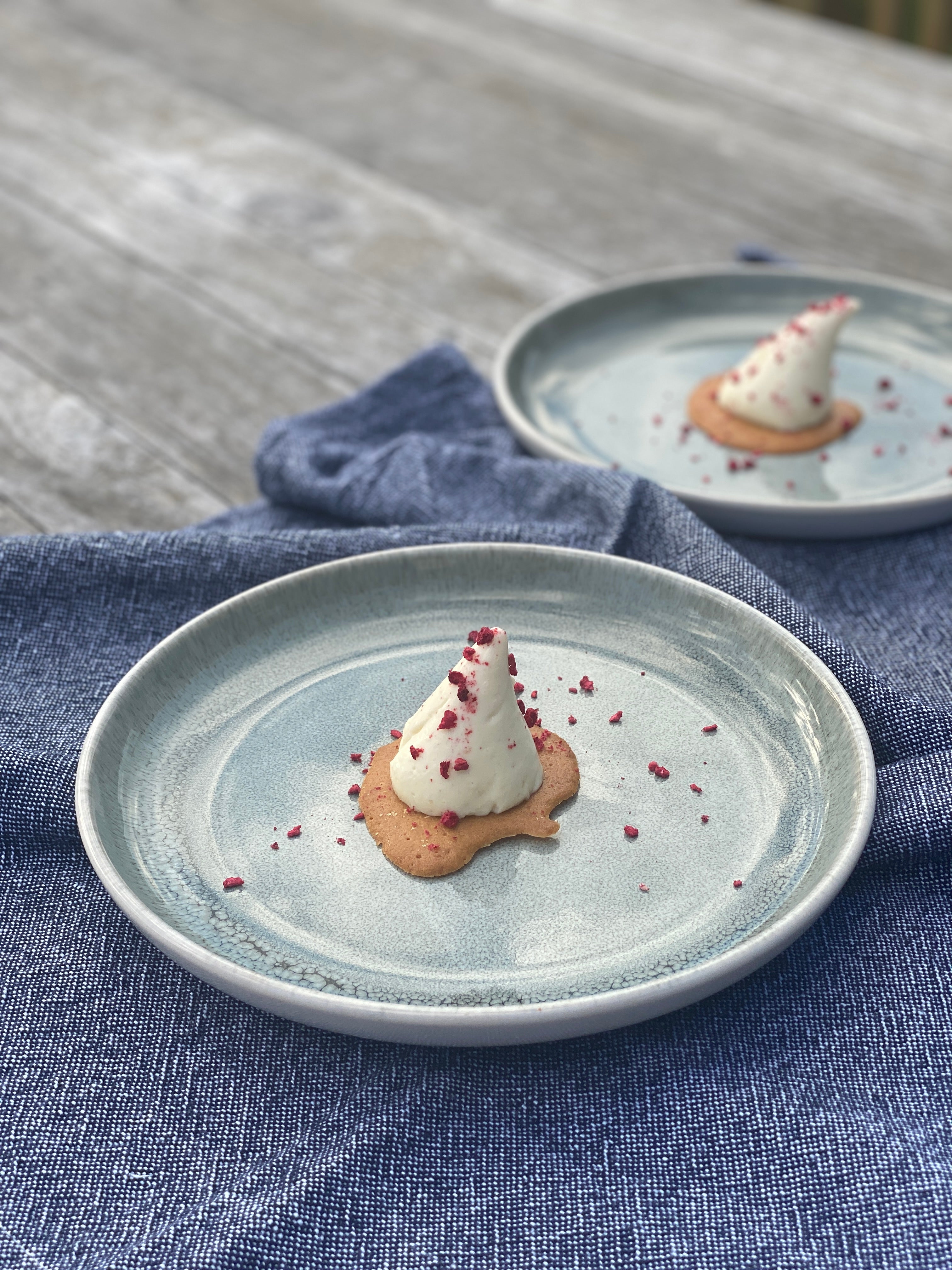 Yoghurt and Honey Panna Cotta – The Jellyologist